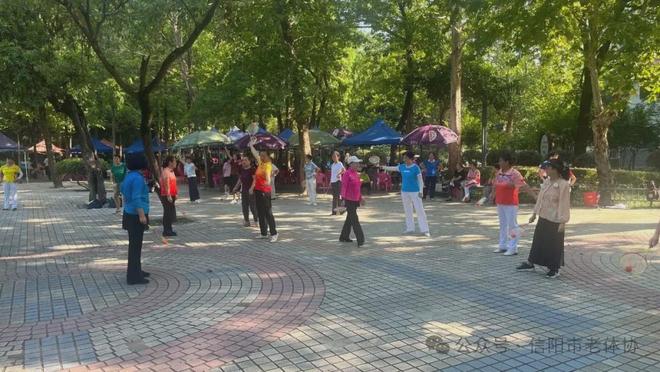 信陽市老體協推出暑期老年人體育活動指南 科學健身助銀齡安度盛夏(圖2)