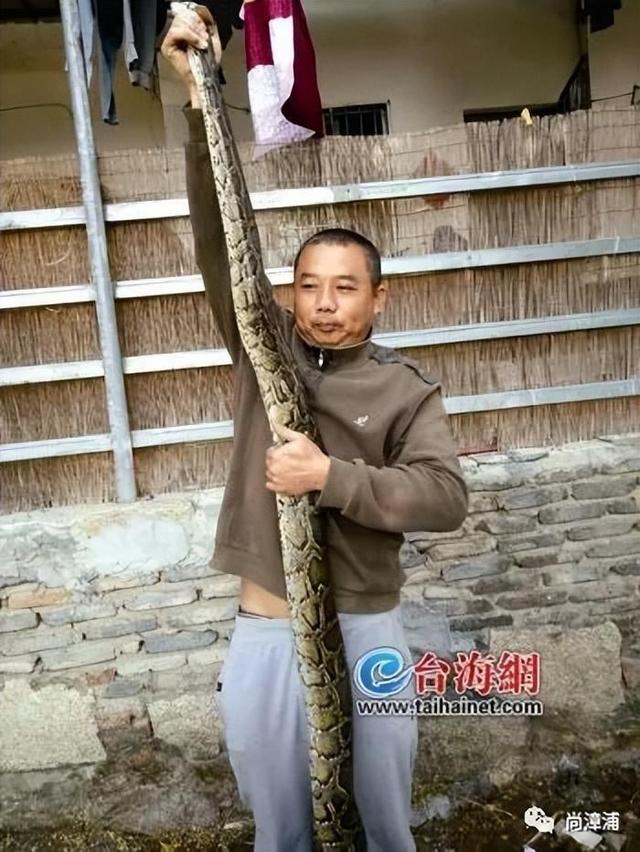 三亞女游客被蛇咬身亡事件帶火蛇類博主兩天漲粉200萬電話被打爆交給朋友接聽(圖5)