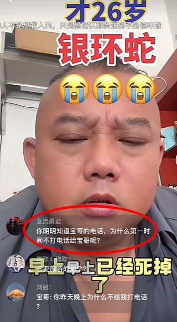 三亞女游客被蛇咬身亡事件帶火蛇類博主兩天漲粉200萬電話被打爆交給朋友接聽(圖1)