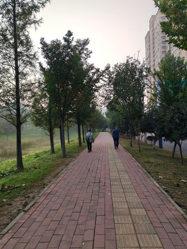 馬上立冬了進補和運動需要注意啥?(圖1)